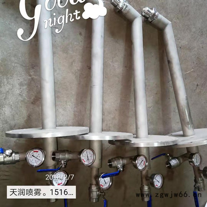 天润喷雾 SNCR耐高温双流体脱硝喷枪 脱硝喷枪价格 除尘工业喷头图3