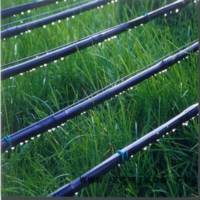 厂家批发大棚蔬菜微喷头 瓜果园微喷头设备