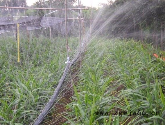 厂家批发大棚蔬菜微喷头 瓜果园微喷头设备图6