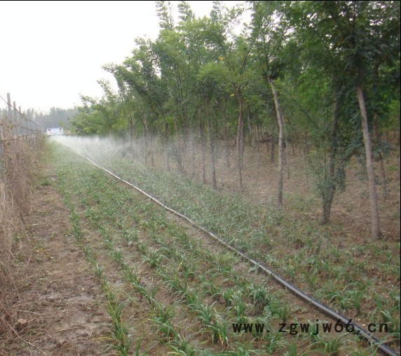 厂家批发大棚蔬菜微喷头 瓜果园微喷头设备图2