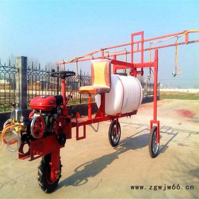 喷射距离远打药机厂家 公园灭虫手推打药机 自走式多喷头喷药机图片图7