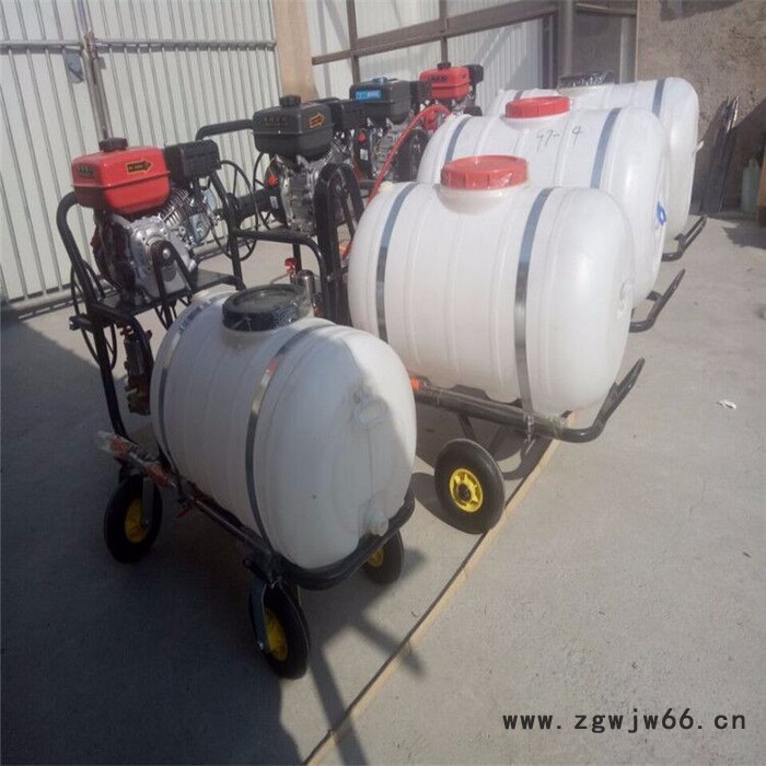 喷射距离远打药机厂家 公园灭虫手推打药机 自走式多喷头喷药机图片图4