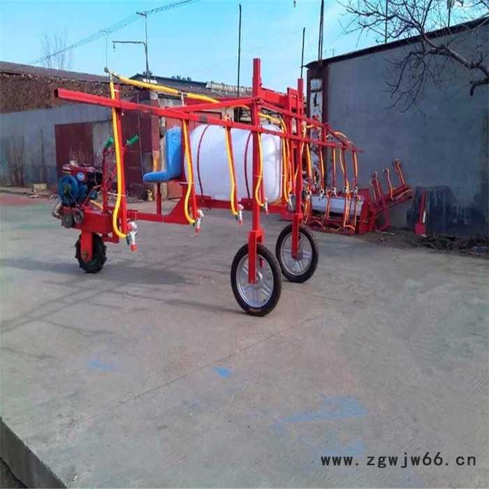喷射距离远打药机厂家 公园灭虫手推打药机 自走式多喷头喷药机图片图6