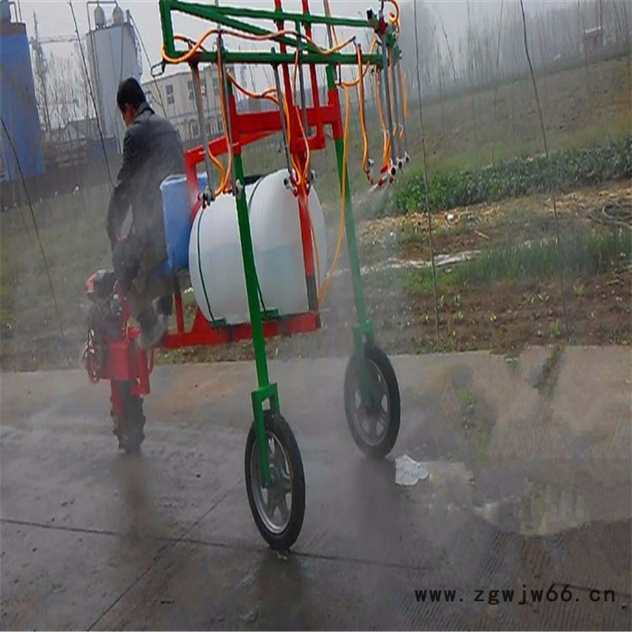 喷射距离远打药机厂家 公园灭虫手推打药机 自走式多喷头喷药机图片图5