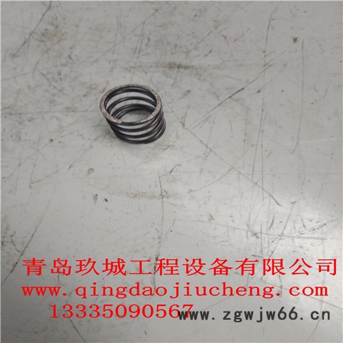 现代R220 变量柱塞行走Y+弹簧图2