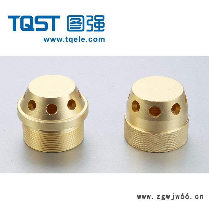 QPT-32喷嘴温州图强消防阀门QPT-32喷嘴灭火器消防阀门配件QPT-40QPT-50喷头图4