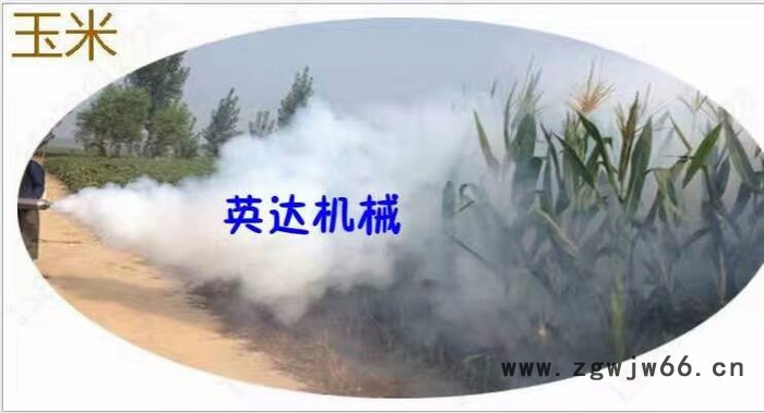 病虫防害专用背负式弥雾机（打药机）水冷双管高压喷头图3
