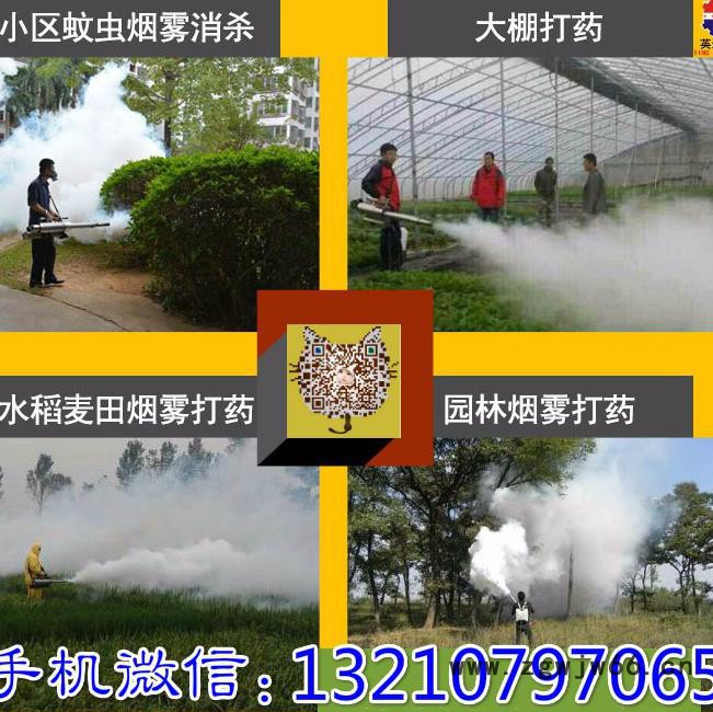 病虫防害专用背负式弥雾机（打药机）水冷双管高压喷头图6