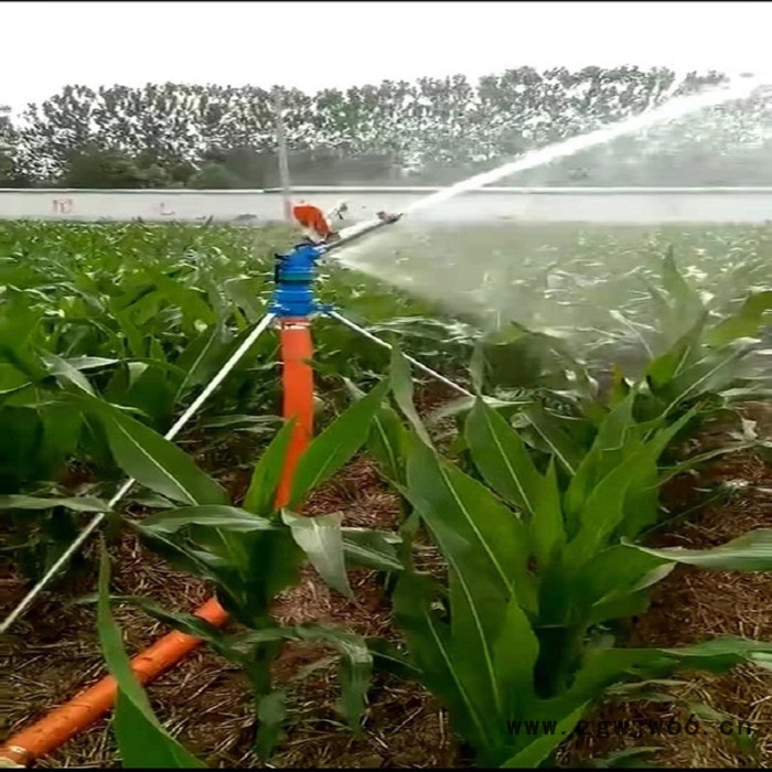 南瑞节水PY40摇臂式喷枪   雾化除尘喷枪  大田浇地大喷枪 喷头 喷枪厂家图3