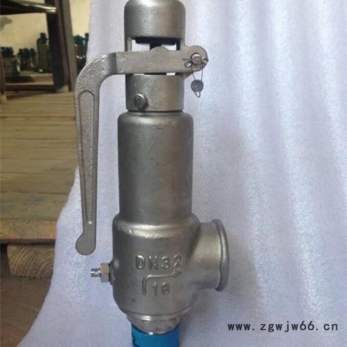 蓝宣 A21F弹簧微启式外螺纹安全阀 外螺纹安全阀图5