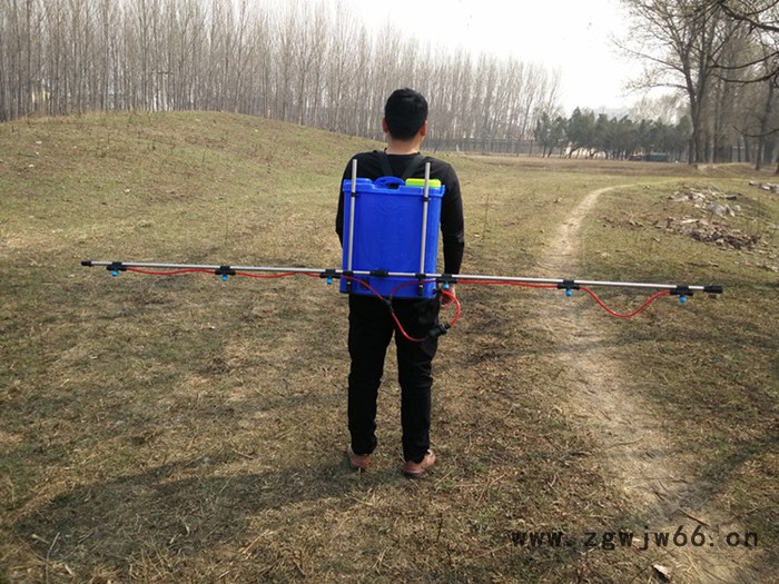 背负式支架喷雾器 电动喷杆喷雾器 农用多喷头支架喷雾器图3