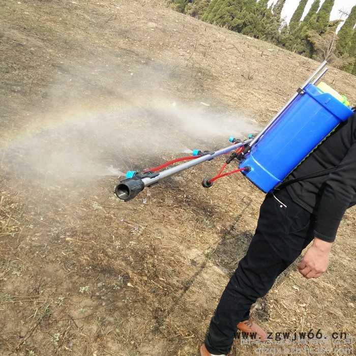背负式支架喷雾器 电动喷杆喷雾器 农用多喷头支架喷雾器图2