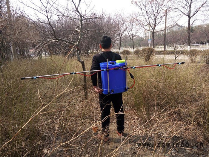 背负式支架喷雾器 电动喷杆喷雾器 农用多喷头支架喷雾器图5