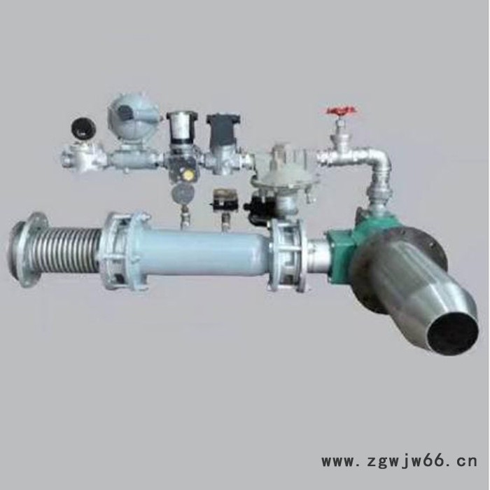 齐工牌   天然气烧嘴厂家  直接点火燃烧器   脉冲烧嘴 烧嘴     天然气喷头  喷头厂家图2