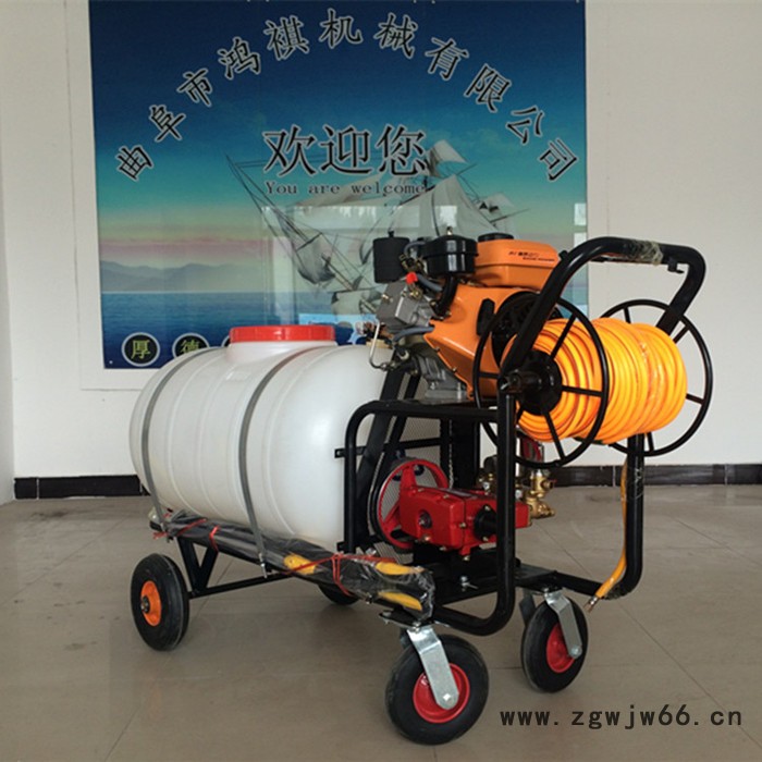 鸿祺KJ 多喷头桃园打药机 打药机厂家 框架打药机图8