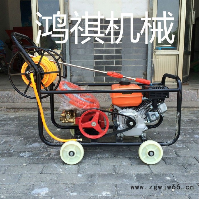 鸿祺KJ 多喷头桃园打药机 打药机厂家 框架打药机图5