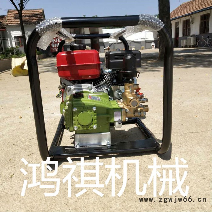 鸿祺KJ 多喷头桃园打药机 打药机厂家 框架打药机图4