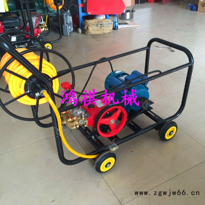 小区消毒热力烟雾机 柴油M汽油M打药车 多喷头农用打药机图7