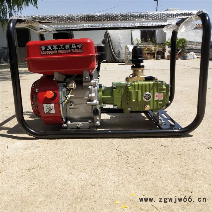 手推式大容量打药机 移动方便打药机 多喷头排管打药机图3