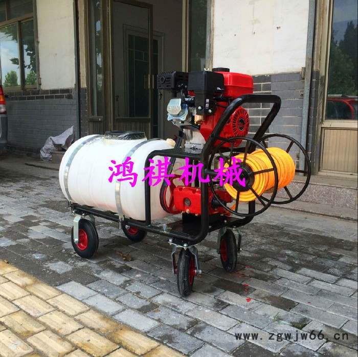 大容量汽油喷雾器 多喷头打药机 鸿祺 全自动300升打药机图片图3