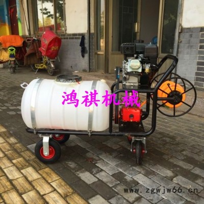 大容量汽油喷雾器 多喷头打药机 鸿祺 全自动300升打药机图片