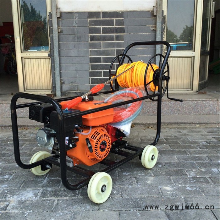 果园手推打药机 鸿祺风送打药机 不锈钢喷头打药机图2