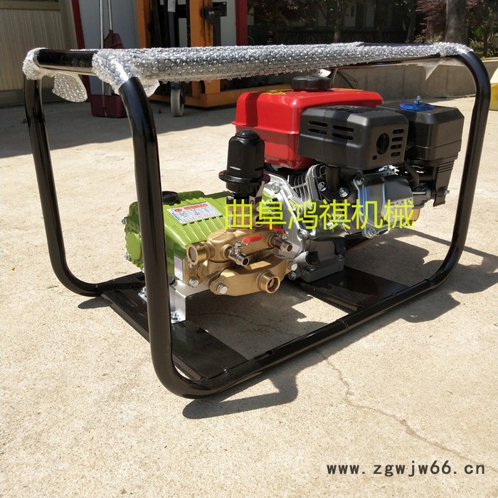 果园手推打药机 鸿祺风送打药机 不锈钢喷头打药机图3