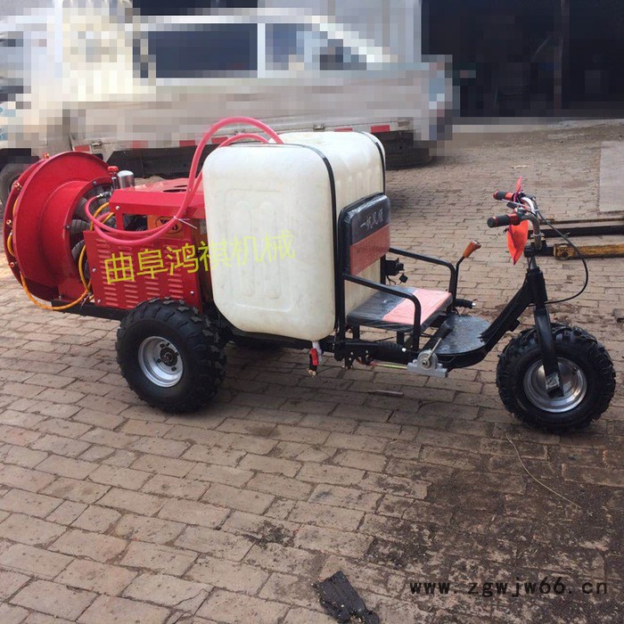 果园手推打药机 鸿祺风送打药机 不锈钢喷头打药机图5