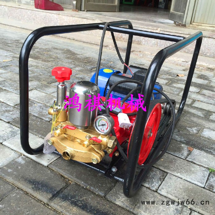 果园手推打药机 鸿祺风送打药机 不锈钢喷头打药机图7