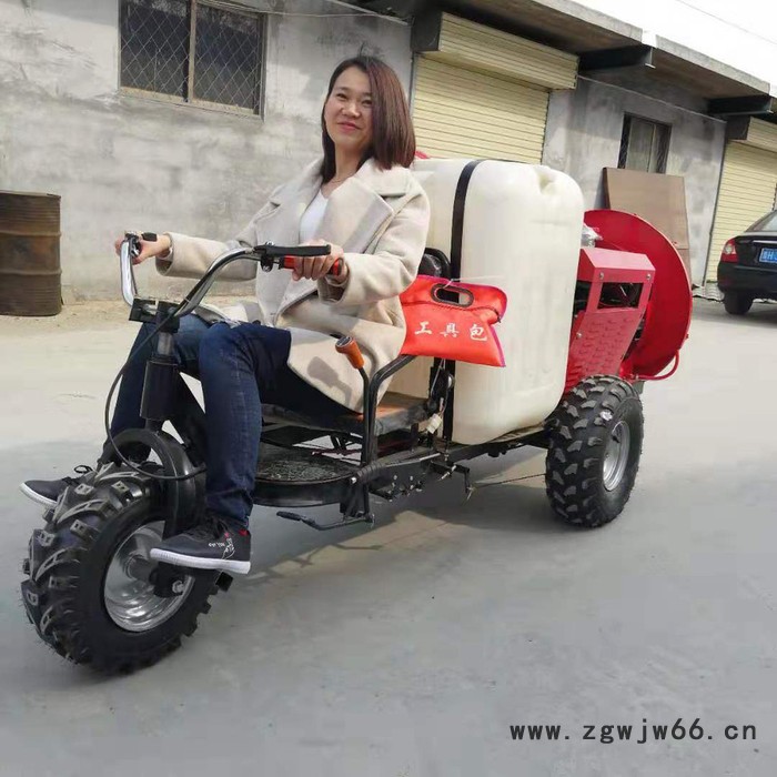 多喷头果树打药机 果树蔬菜打药机