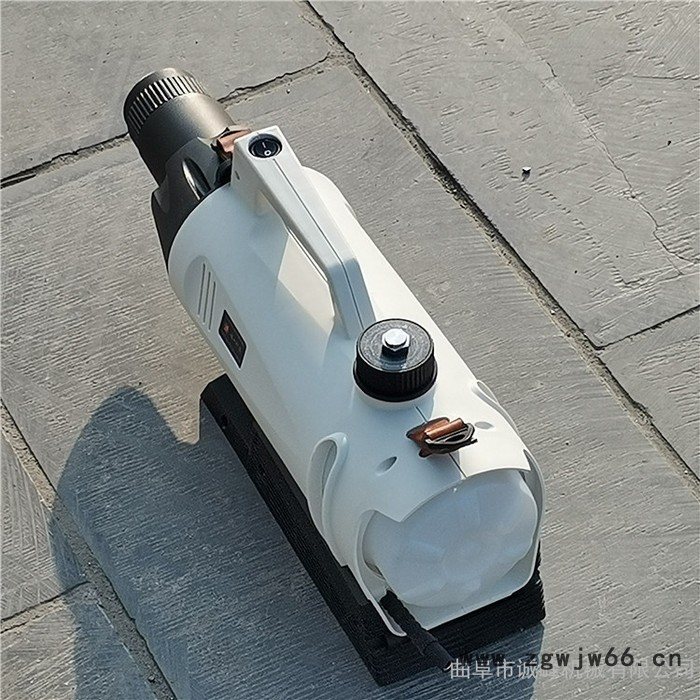 小区防疫喷雾器 水雾烟雾电动弥雾机 新款2L三喷头消毒机图3