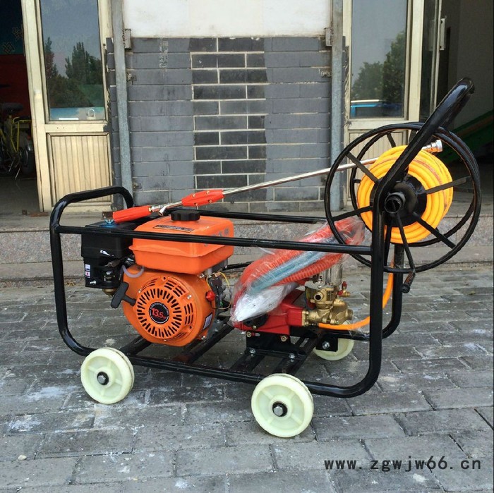 小麦打药机多喷头农用打药机手持式汽油打药机图2