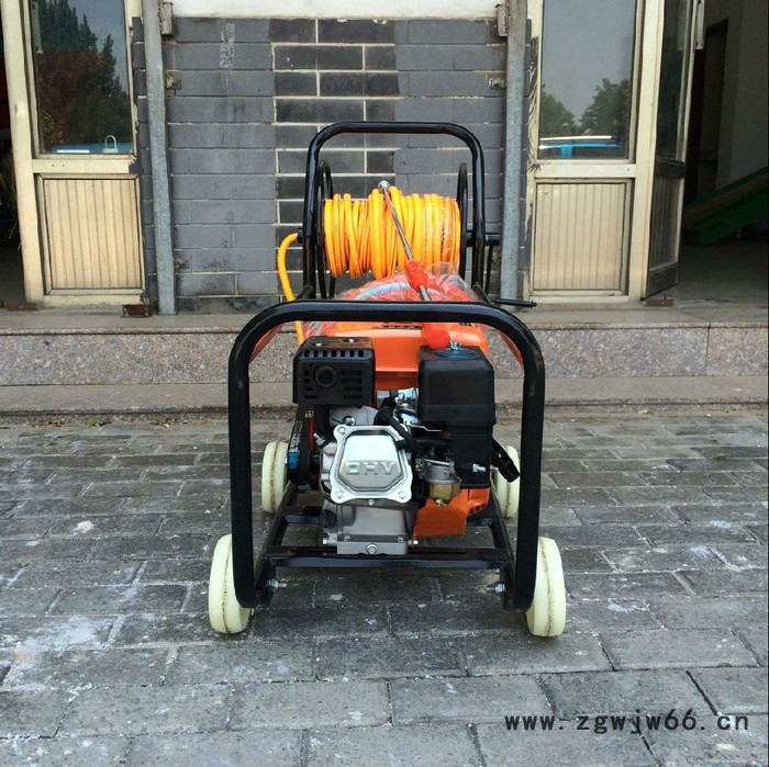 小麦打药机多喷头农用打药机手持式汽油打药机图7