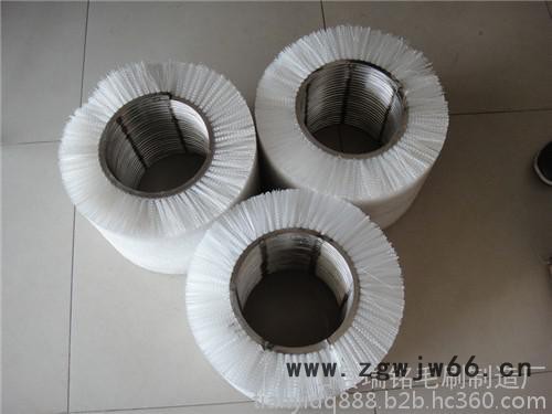 规格洗片机毛刷 太阳能帆板清洗毛刷  绕刷辊  弹簧刷图4