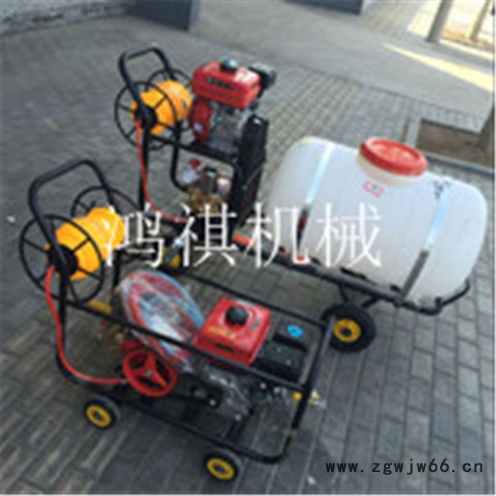 鸿祺KJ 柴油多喷头打药车 自走式高架打药车 框架打药机图3