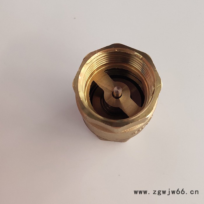 供应铜止回阀立式卧式表前止回阀 弹簧铜芯单向阀量大从优图7