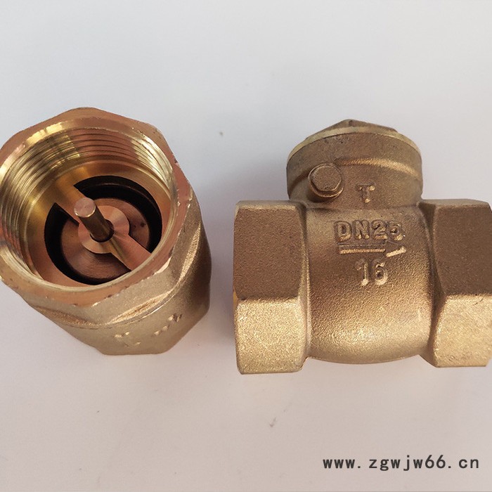 供应铜止回阀立式卧式表前止回阀 弹簧铜芯单向阀量大从优