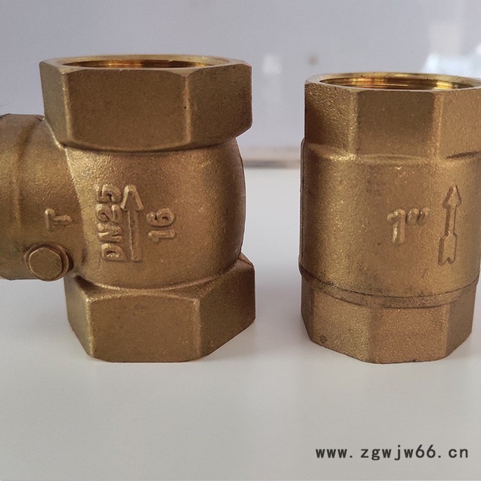 供应铜止回阀立式卧式表前止回阀 弹簧铜芯单向阀量大从优图3
