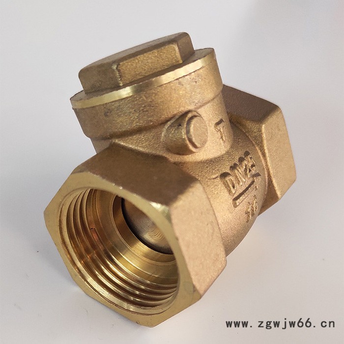 供应铜止回阀立式卧式表前止回阀 弹簧铜芯单向阀量大从优图2