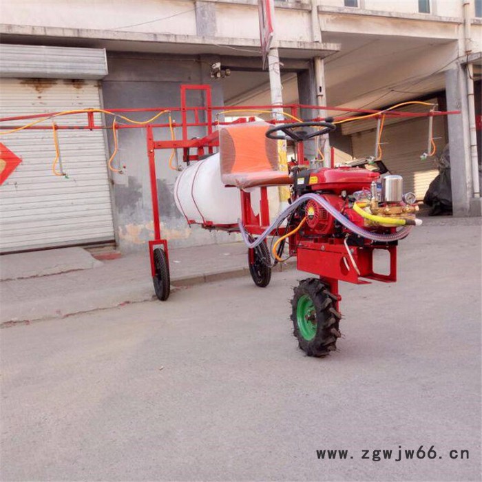 汽油动力多孔喷头打药机 自走式葡萄打药机 三轮高架打药机图6