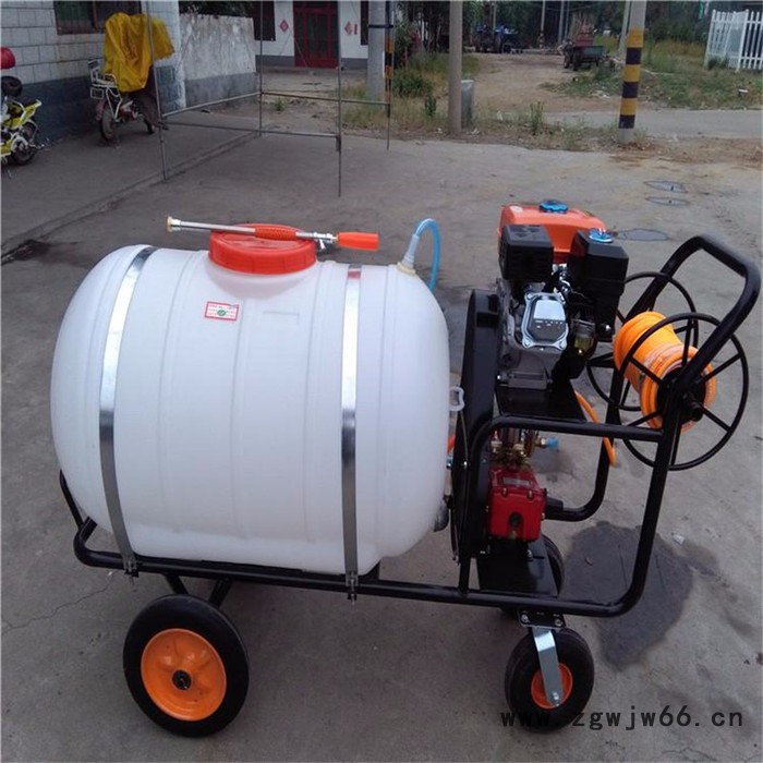 汽油动力多孔喷头打药机 自走式葡萄打药机 三轮高架打药机图3