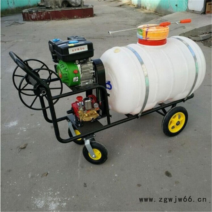 汽油动力多孔喷头打药机 自走式葡萄打药机 三轮高架打药机图2