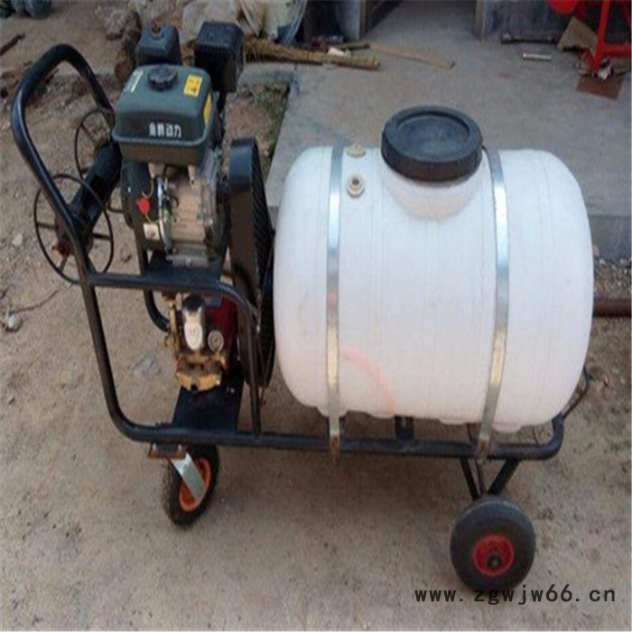 汽油动力多孔喷头打药机 自走式葡萄打药机 三轮高架打药机图5