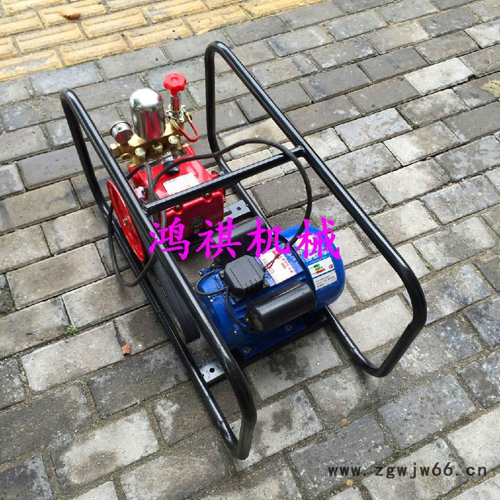 高压担驾式打药机 柴油M汽油M打药车 双喷头新型打药机价格图4