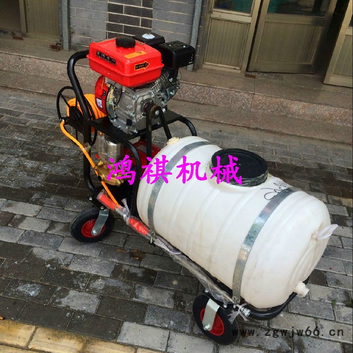 高压担驾式打药机 柴油M汽油M打药车 双喷头新型打药机价格图8