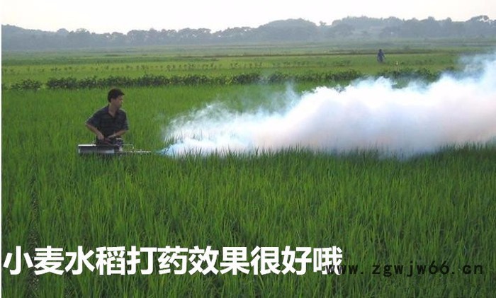 南京大棚农药烟雾机   不锈钢喷头射程远给药面积大  农药雾化机价格w图5