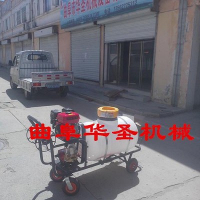 双喷头打药机|高射程打药车|手推式打药机