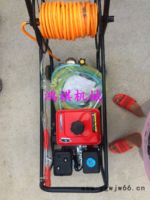 苗圃茶园杀虫打药机 嘉禾县DY 多喷头打药机图7