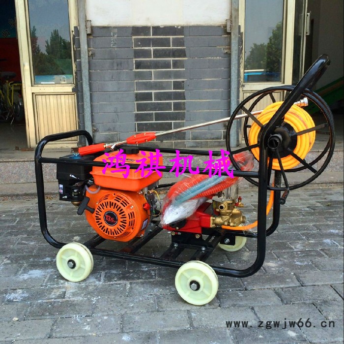 苗圃茶园杀虫打药机 嘉禾县DY 多喷头打药机图5