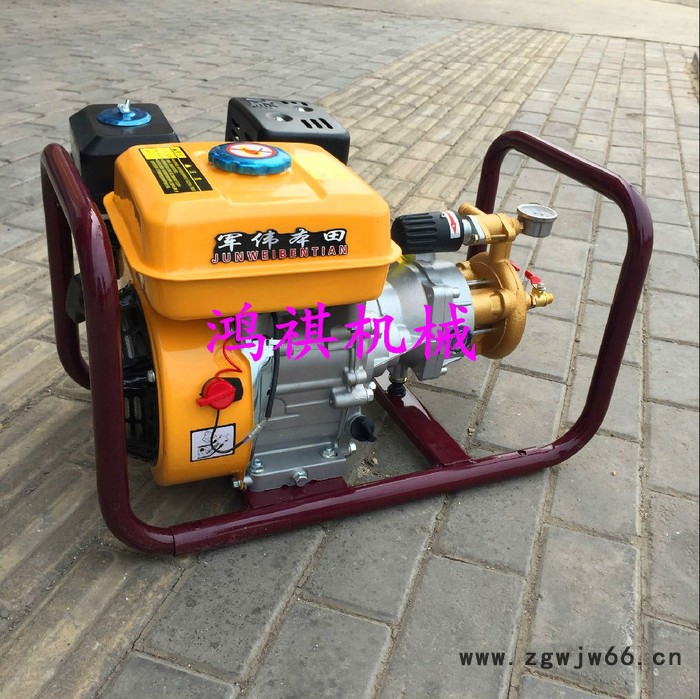 苗圃茶园杀虫打药机 嘉禾县DY 多喷头打药机图3